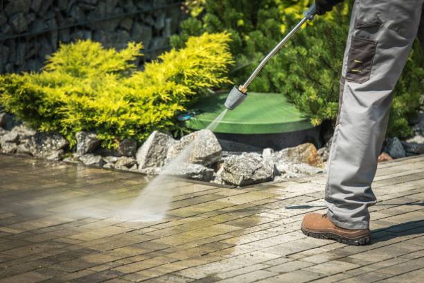 Best Roof Cleaning and Mildew Removal in Baileyton, AL